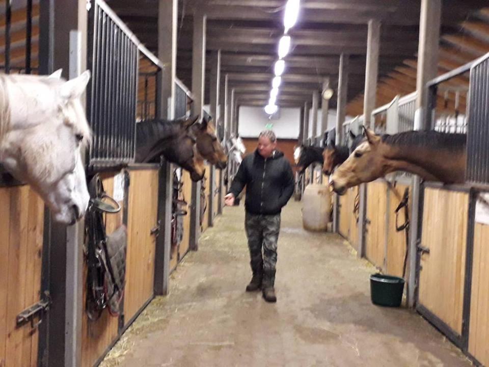 Caballus Lovasmajor Panzio Nyíregyháza Eksteriør bilde