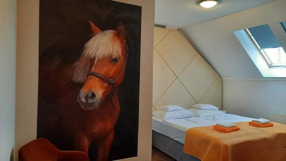 Caballus Lovasmajor Panzio Nyíregyháza Eksteriør bilde